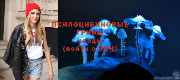 трава Мегион