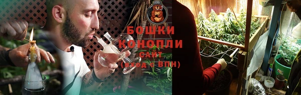 шишки Майский